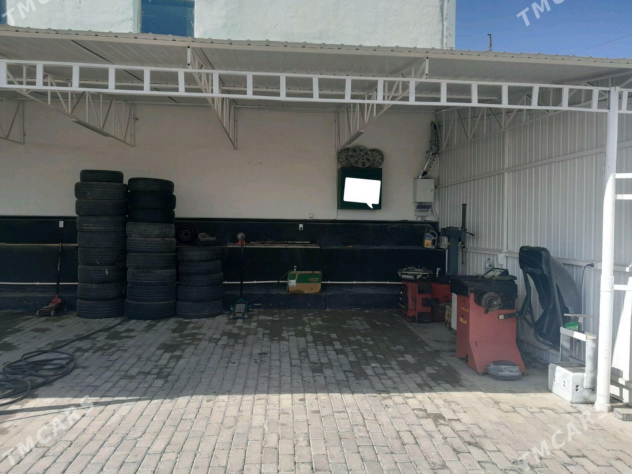 wulkanzasiya arende - Ялкым - img 3