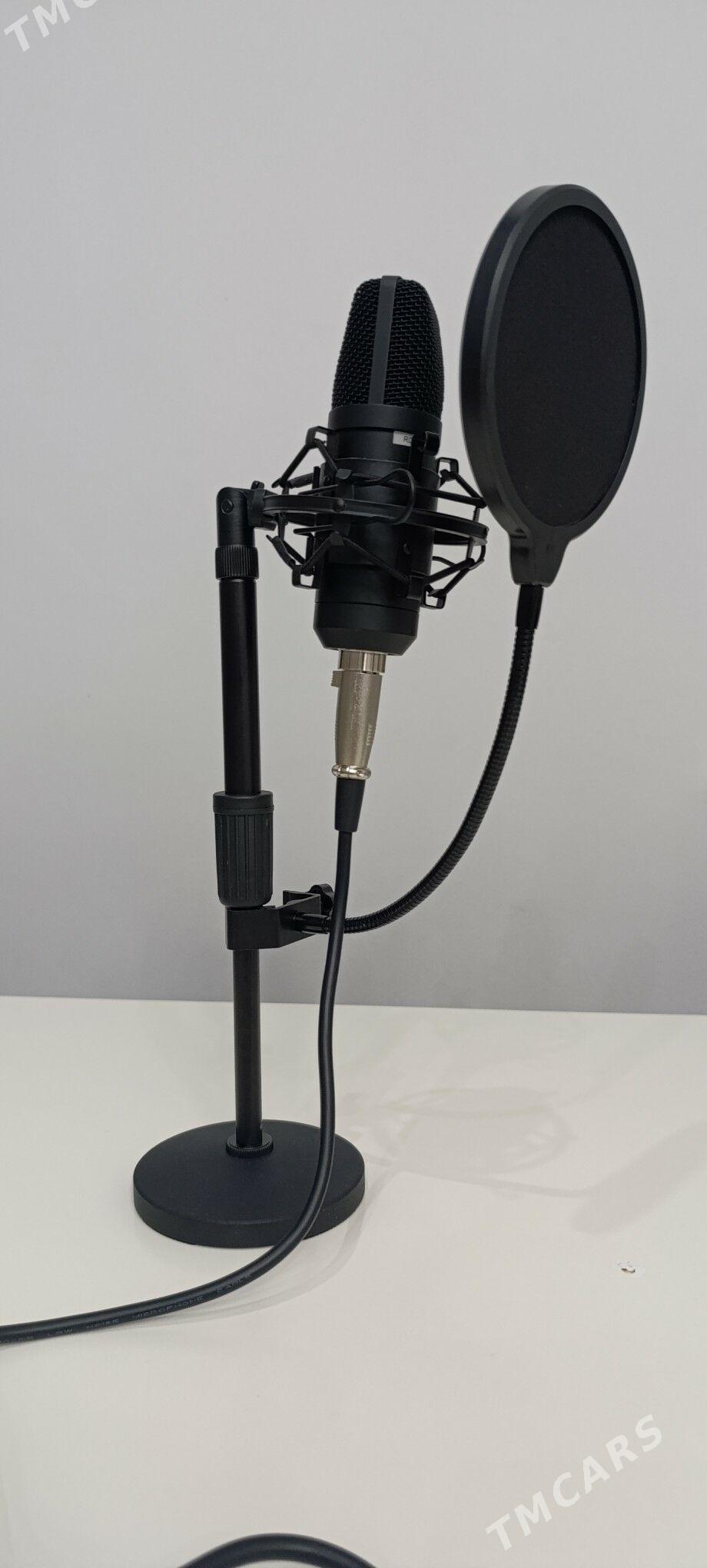 Mikrofon Ritmix - 15-nji tapgyr - img 2