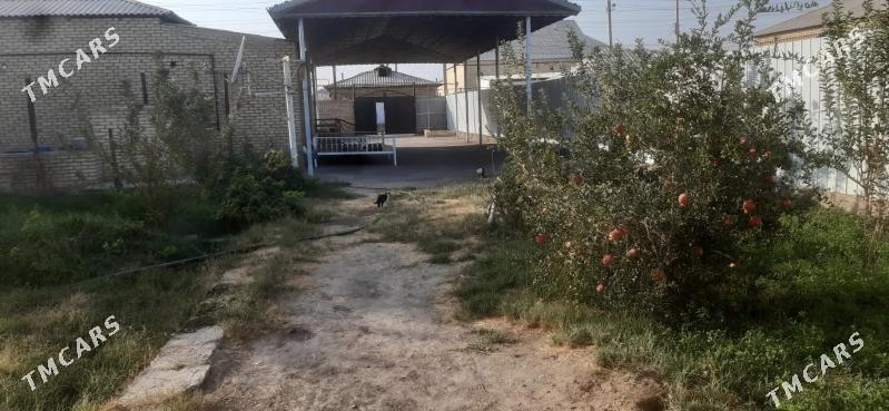 satlyk  jay - Мары - img 2