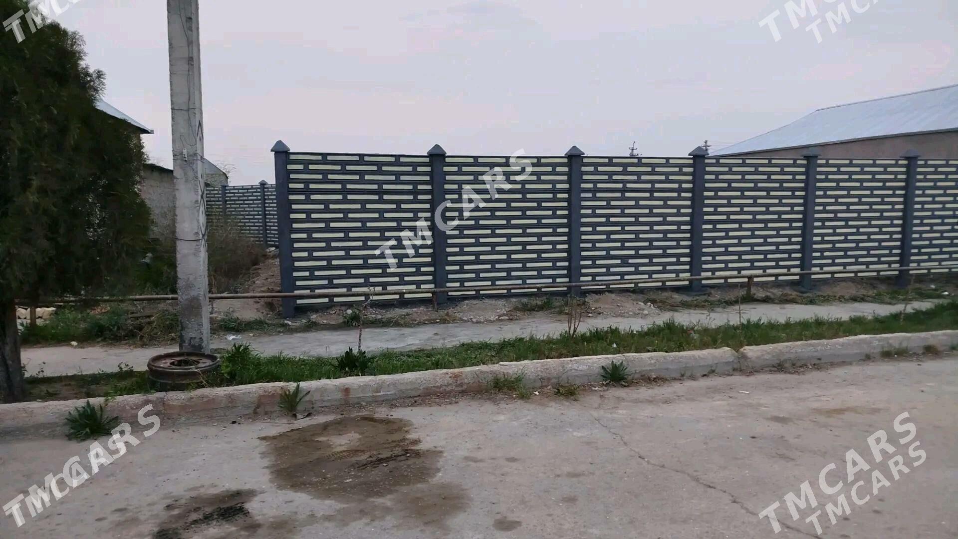 beton zabor - Sakarçäge - img 2