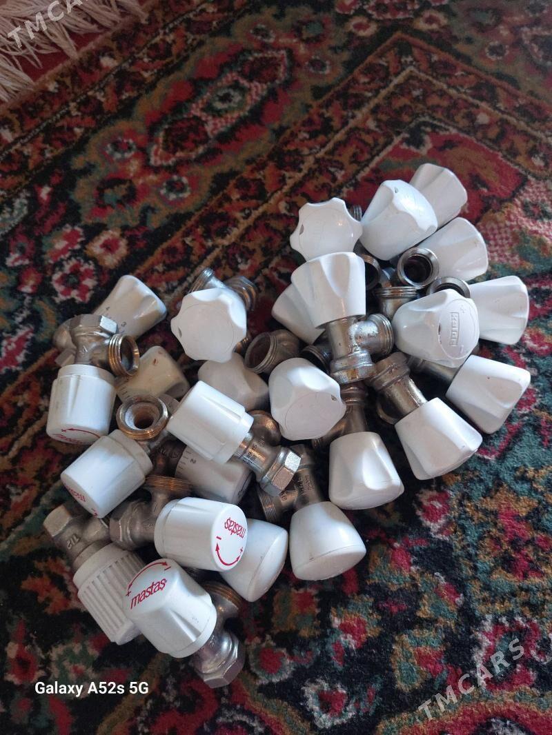 ataplenya gyrant - Boldumsaz - img 2