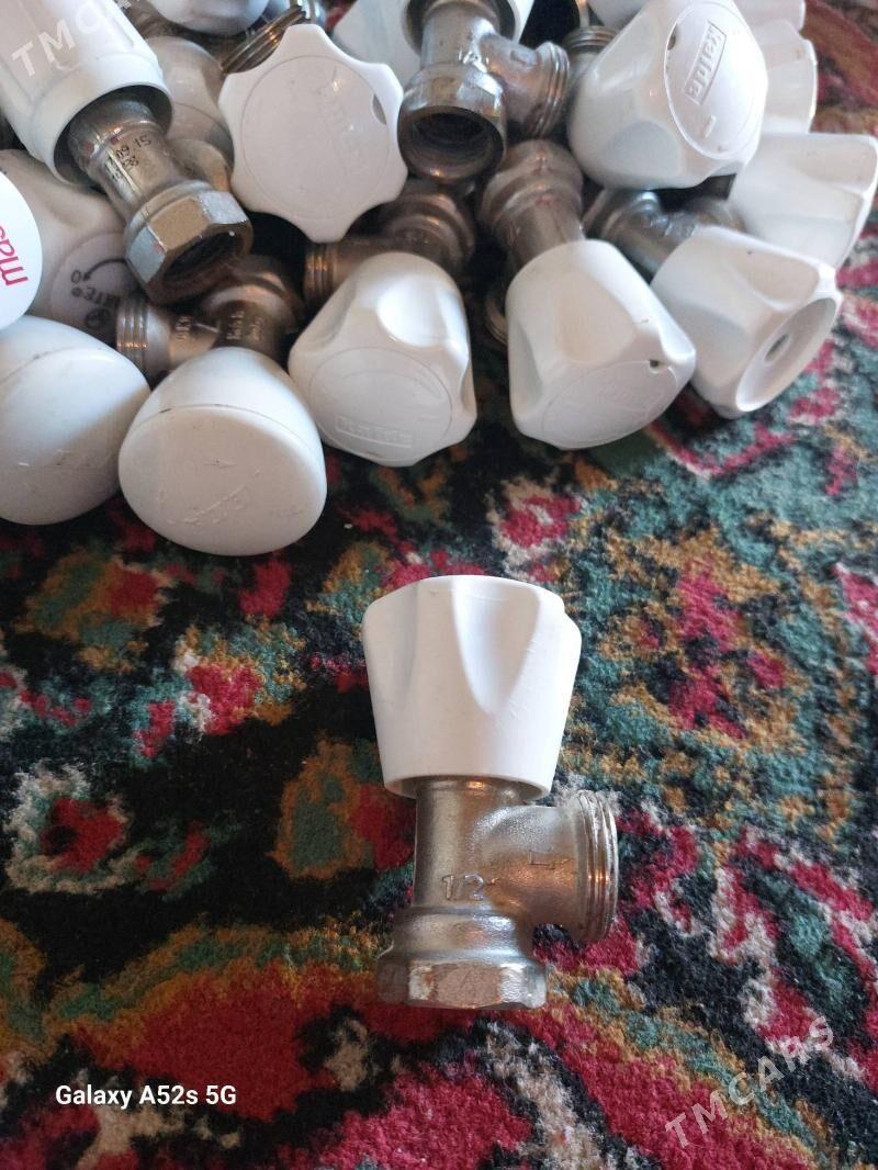 ataplenya gyrant - Boldumsaz - img 1