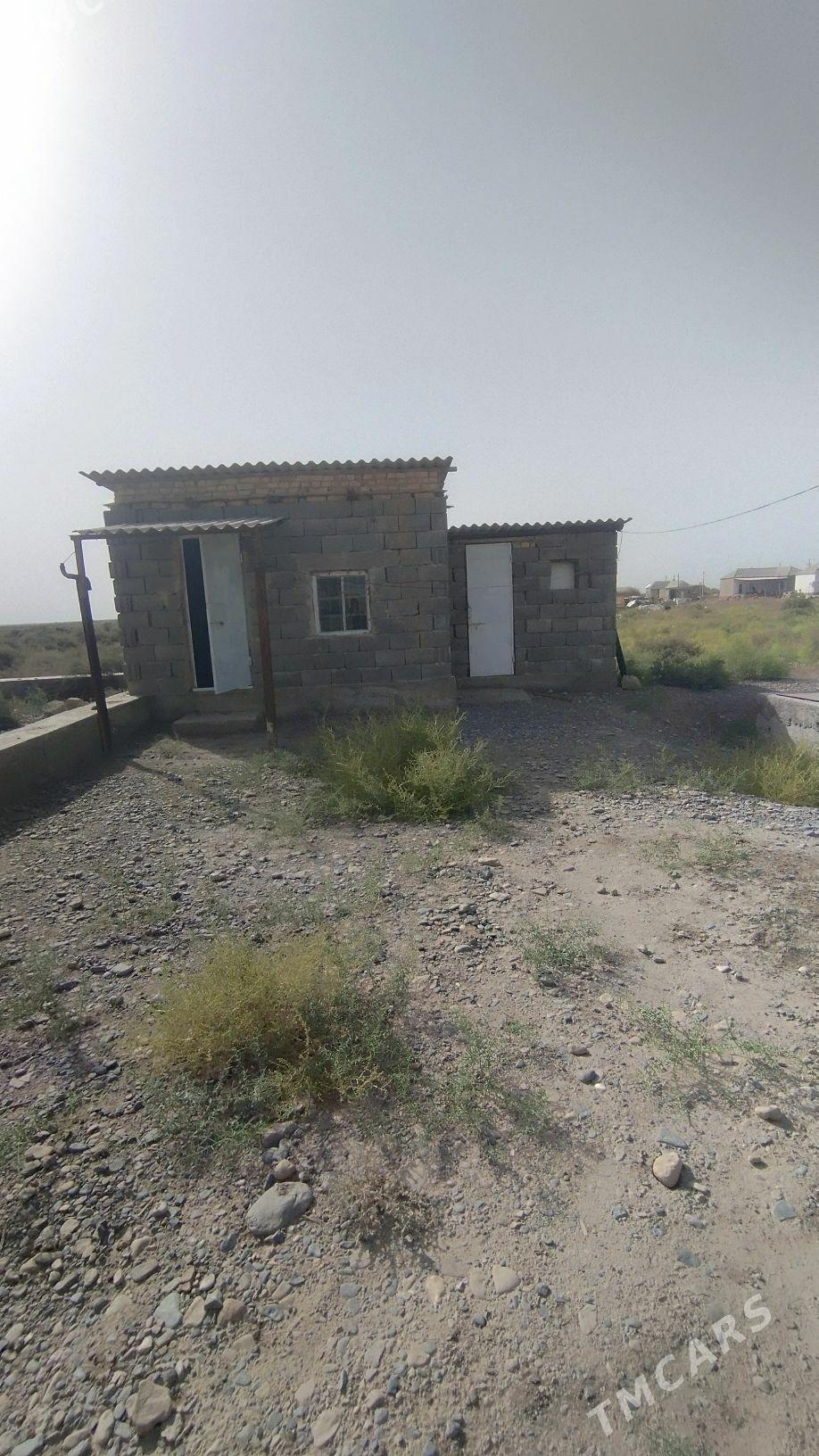 satlyk jay - Tejen - img 2