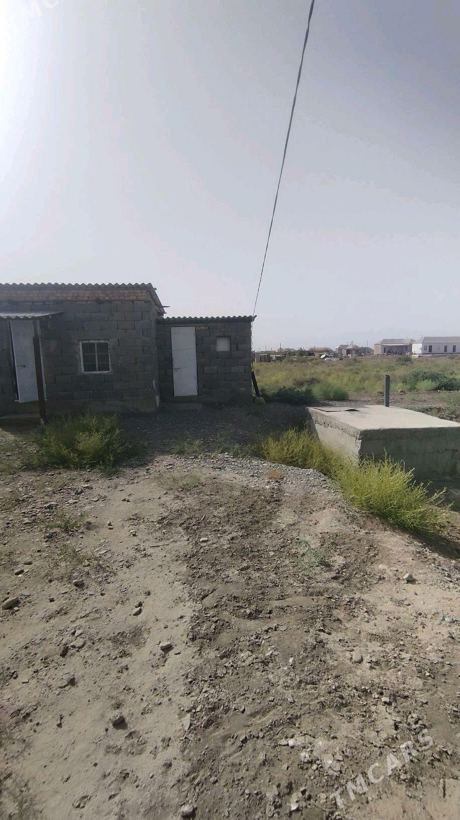 satlyk jay - Tejen - img 3