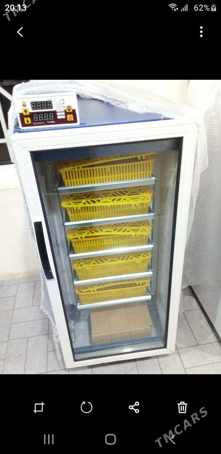 Enkubator - Büzmeýin - img 2