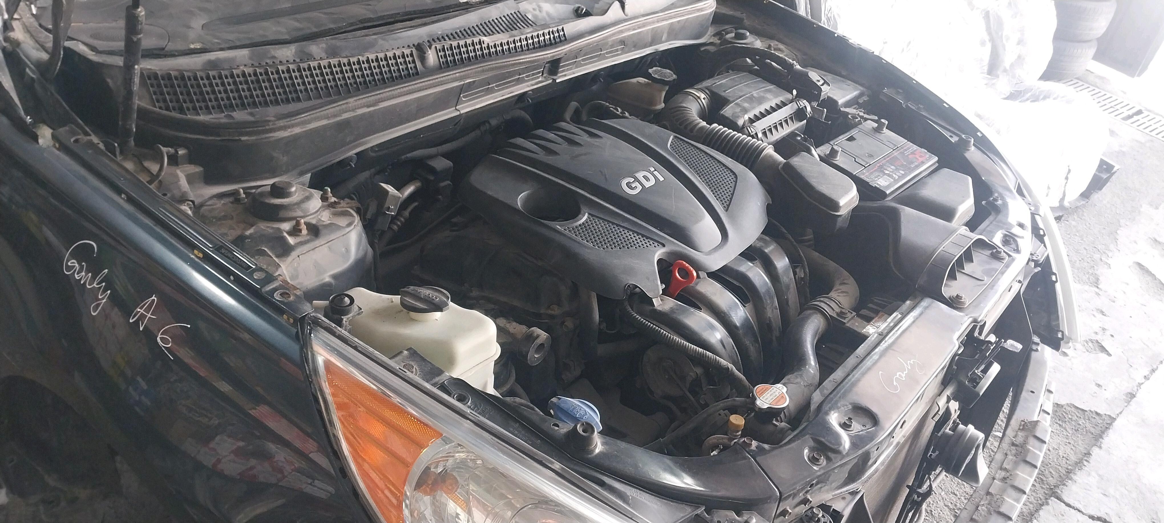 hunday morda 100 TMT - Хитровка - img 5