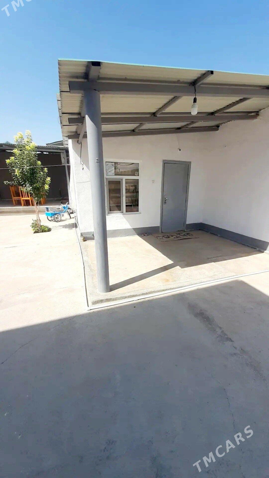 ANEW SATLYK JAY - Анев - img 2