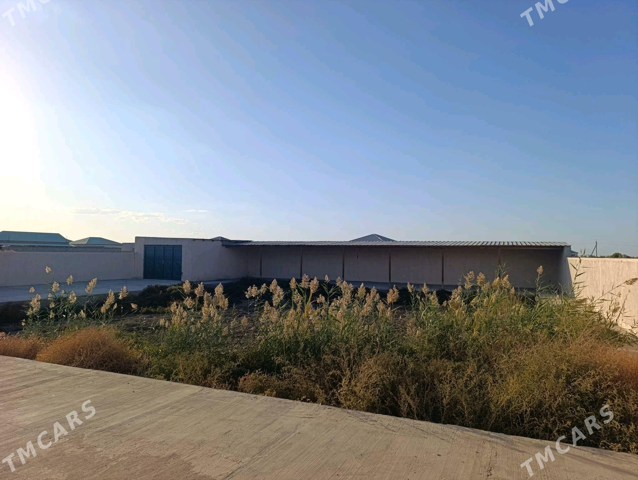 Satlyk jay - Daşoguz - img 4