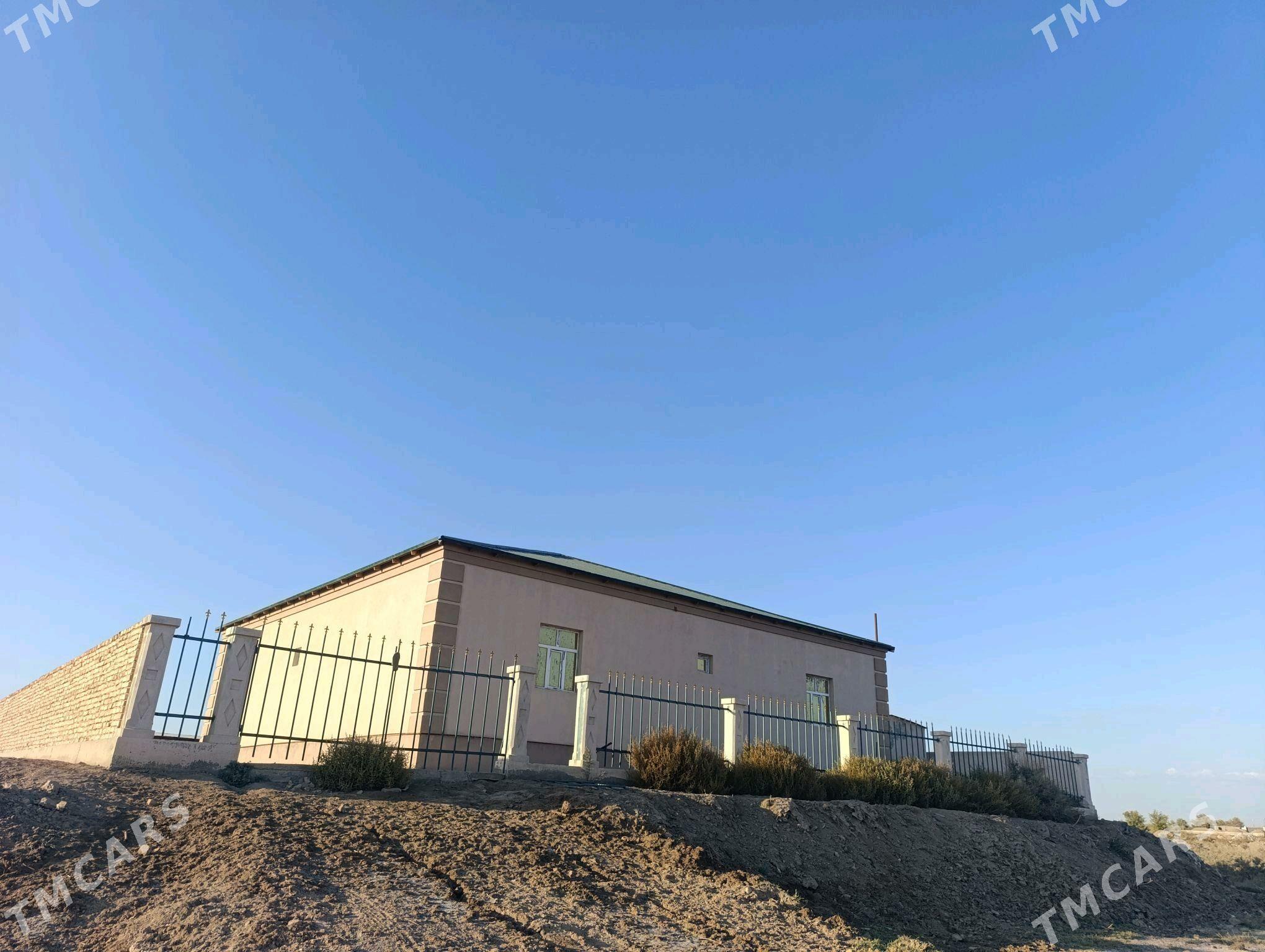 Satlyk jay - Daşoguz - img 5