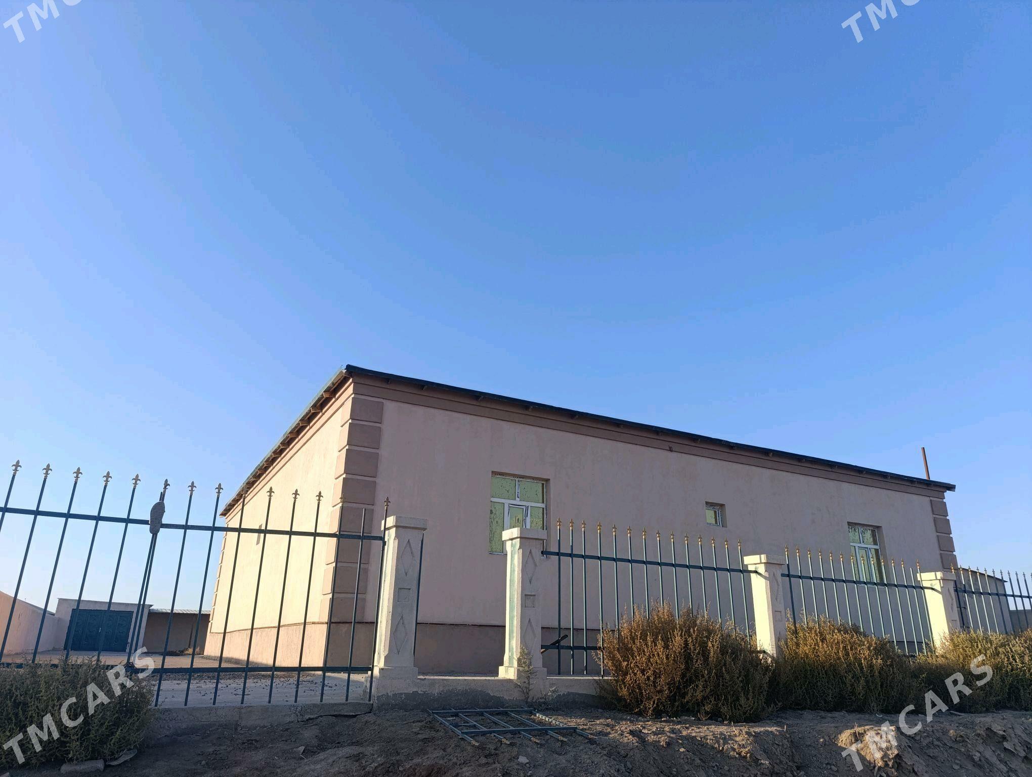 Satlyk jay - Daşoguz - img 2