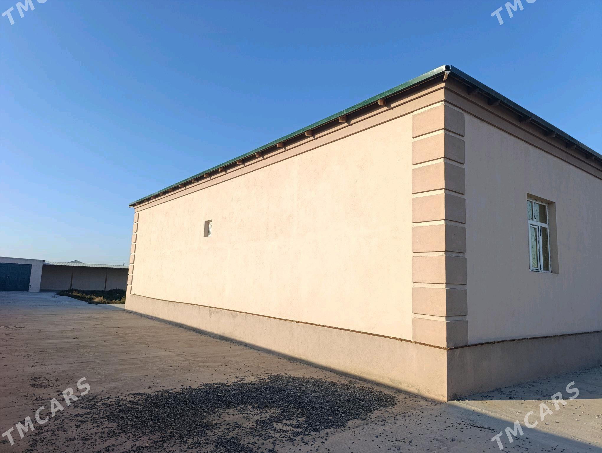 Satlyk jay - Daşoguz - img 9