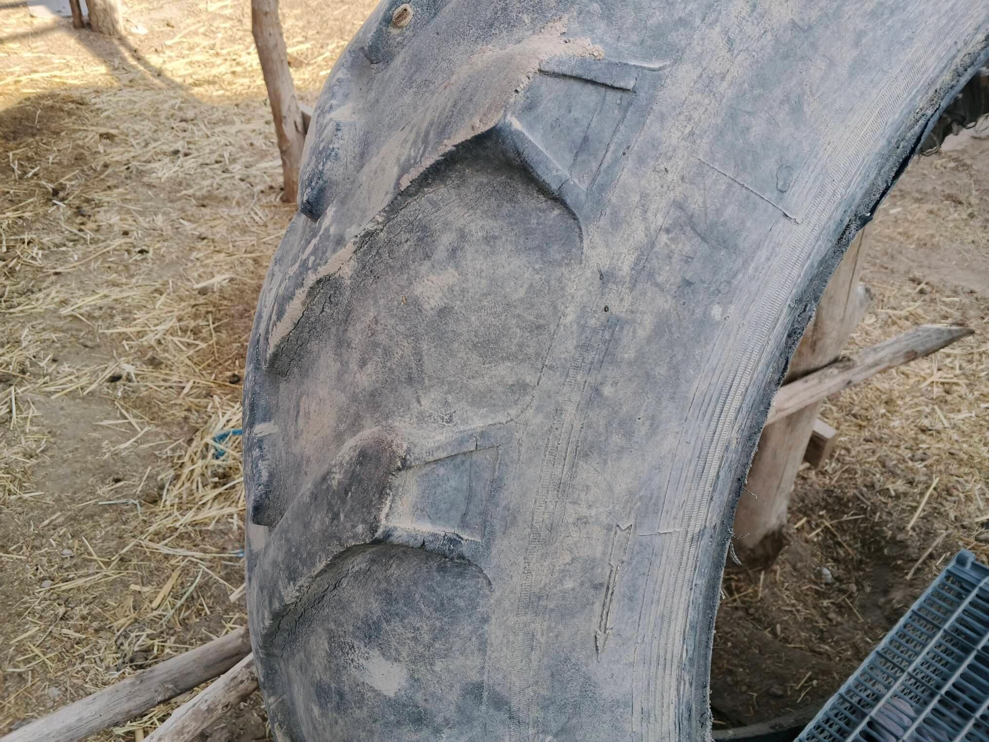 тигр 2 000 TMT - Görogly (Tagta) - img 2