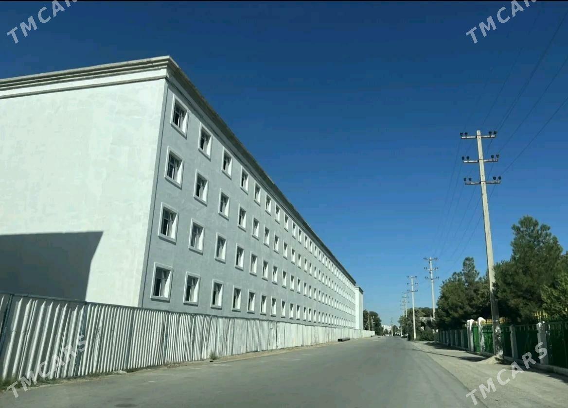 satlyk jay - Анев - img 4