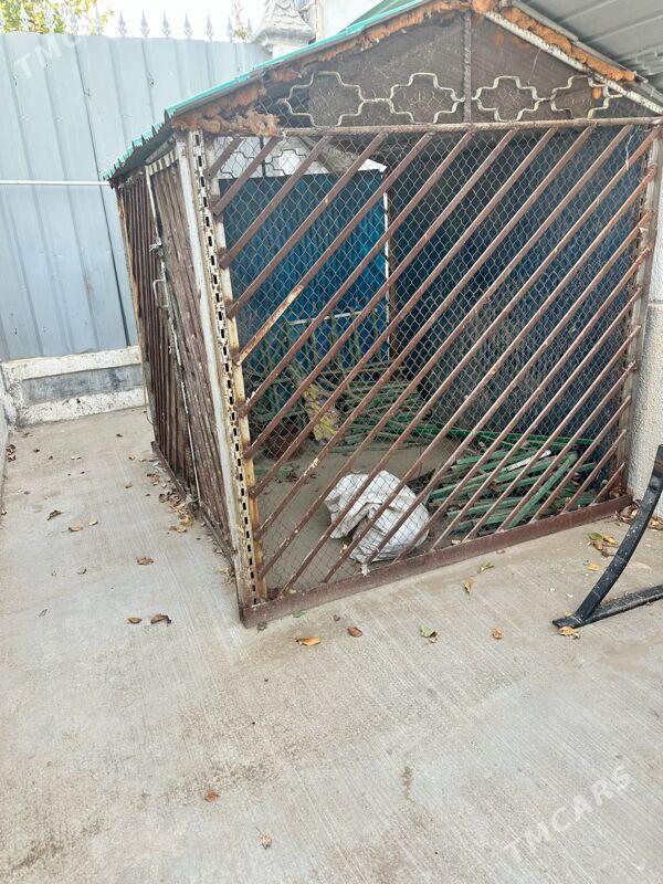 Ketek Курятник - Aşgabat - img 2