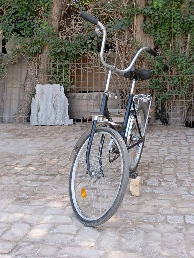 skif - Daşoguz - img 4