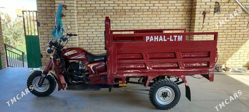 Fekon FK200-14G 2023 - 25 000 TMT - Фарап - img 6