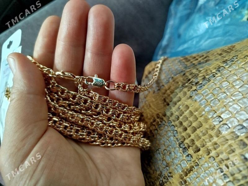 kardinal - Daşoguz - img 2