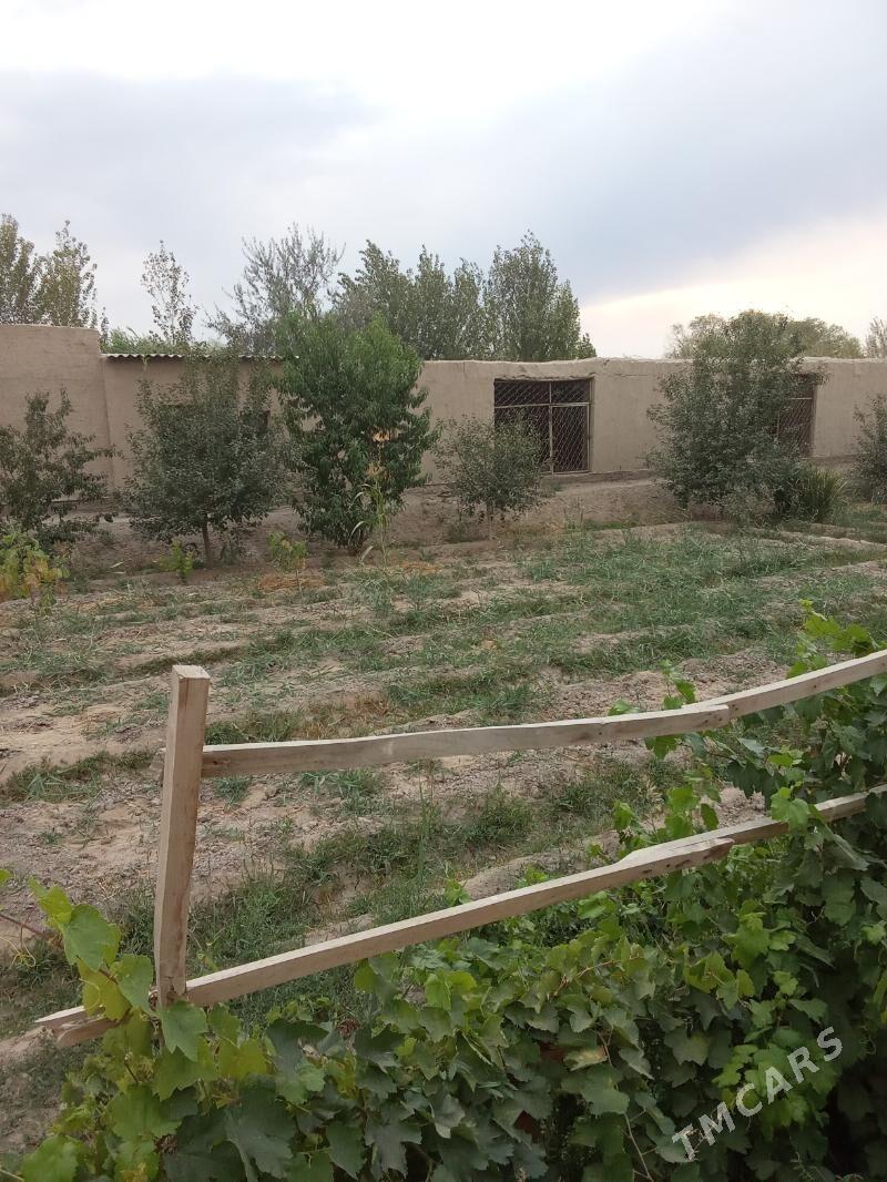 jaý - Кёнеургенч - img 10