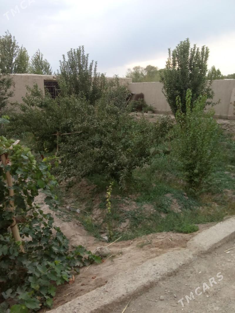 jaý - Кёнеургенч - img 9