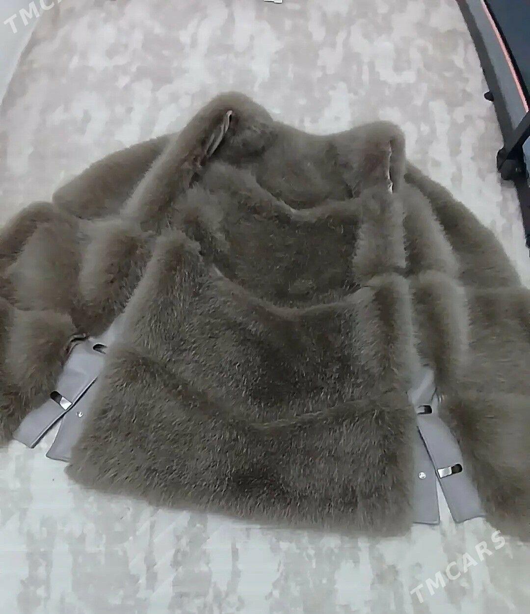 şuba - Ашхабад - img 4