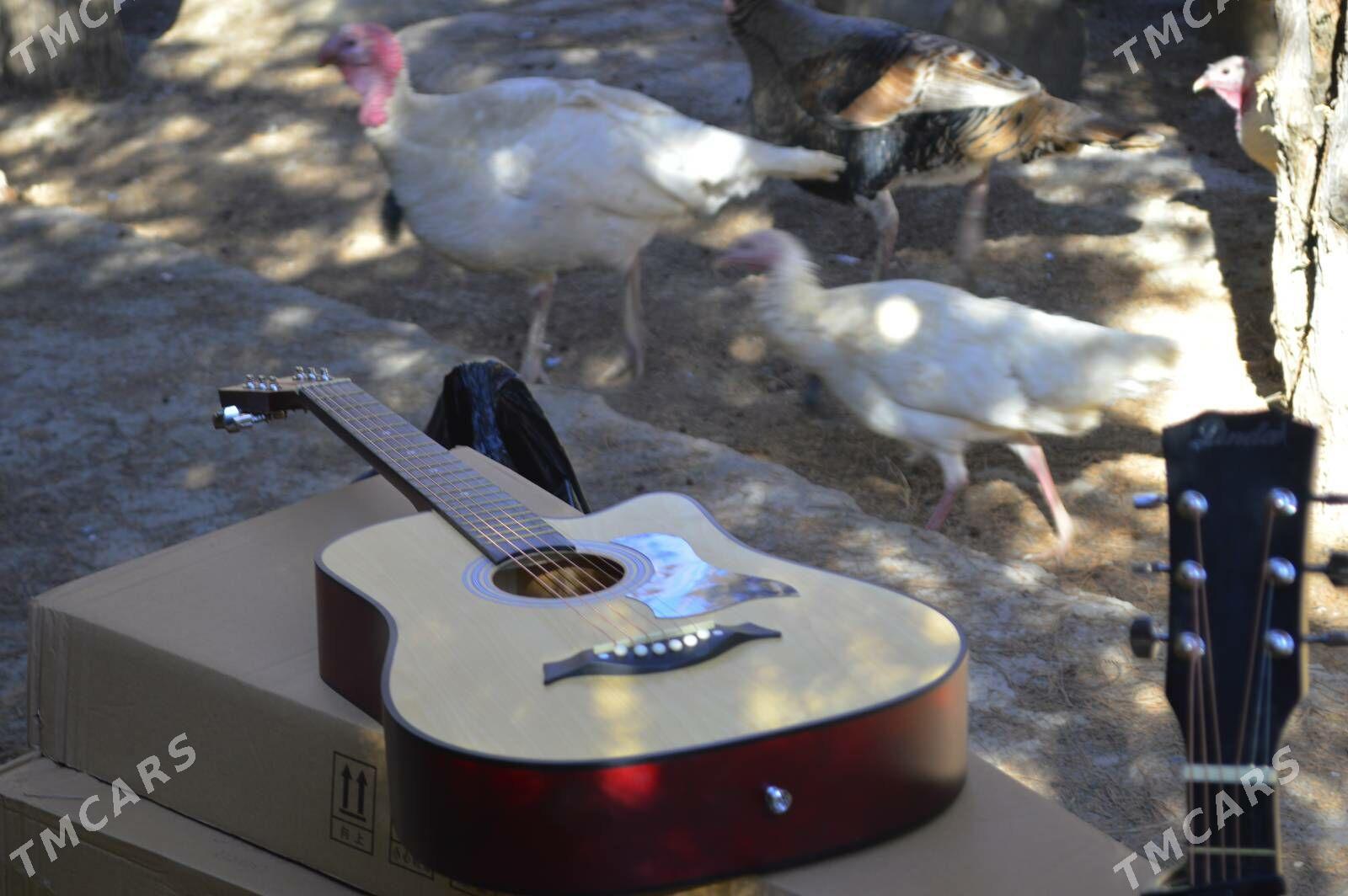 FULL PAKET GITARA - Дашогуз - img 2