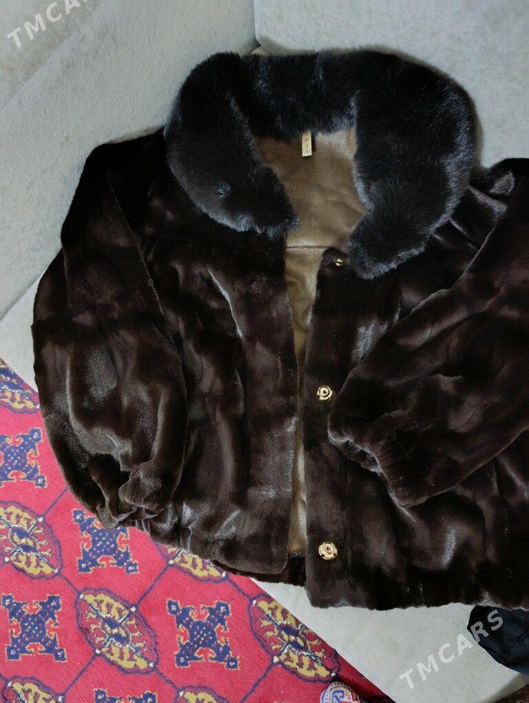 Suba - Daşoguz - img 1