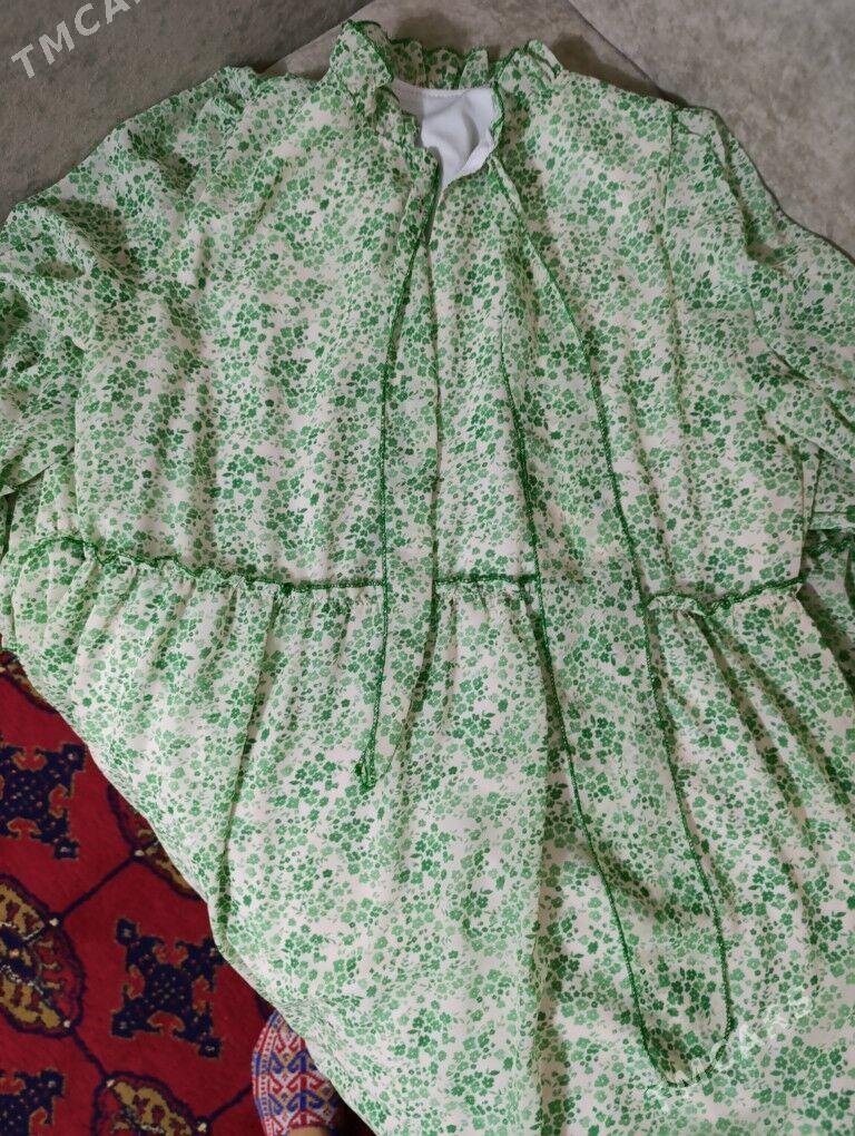 Suba - Daşoguz - img 5