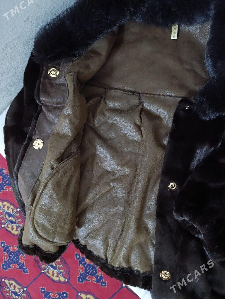 Suba - Daşoguz - img 2