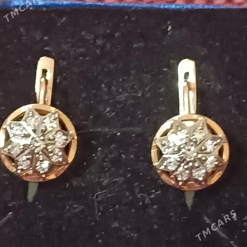 gyzyl brilliant sergi SSSR - Aşgabat - img 2