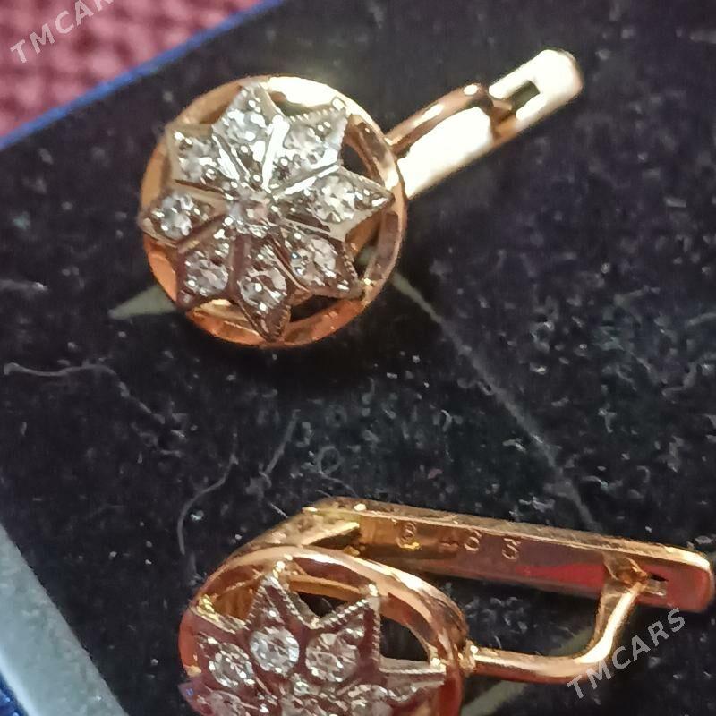 gyzyl brilliant sergi SSSR - Aşgabat - img 5