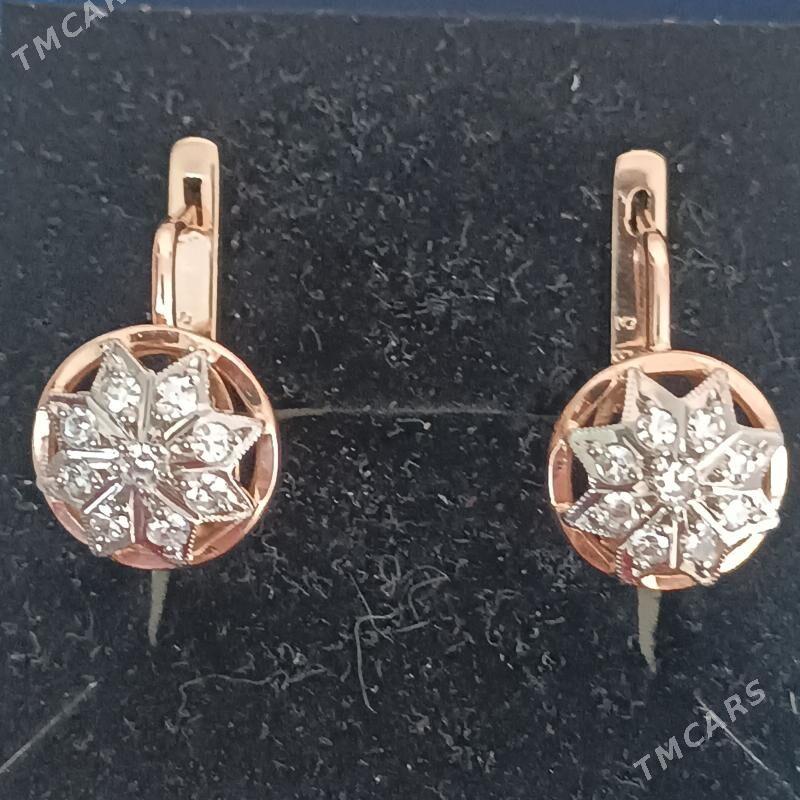 gyzyl brilliant sergi SSSR - Ашхабад - img 1