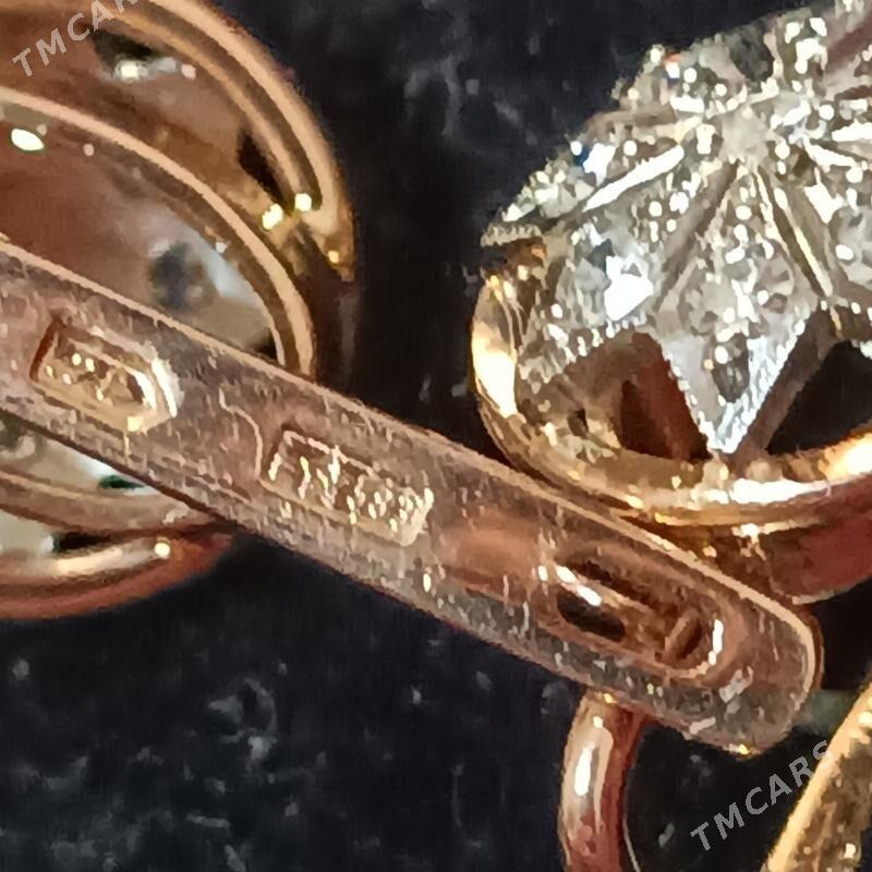 gyzyl brilliant sergi SSSR - Aşgabat - img 4