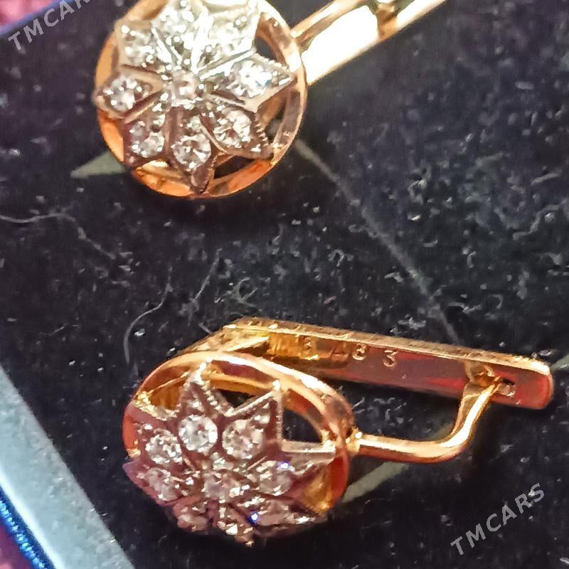 gyzyl brilliant sergi SSSR - Aşgabat - img 3