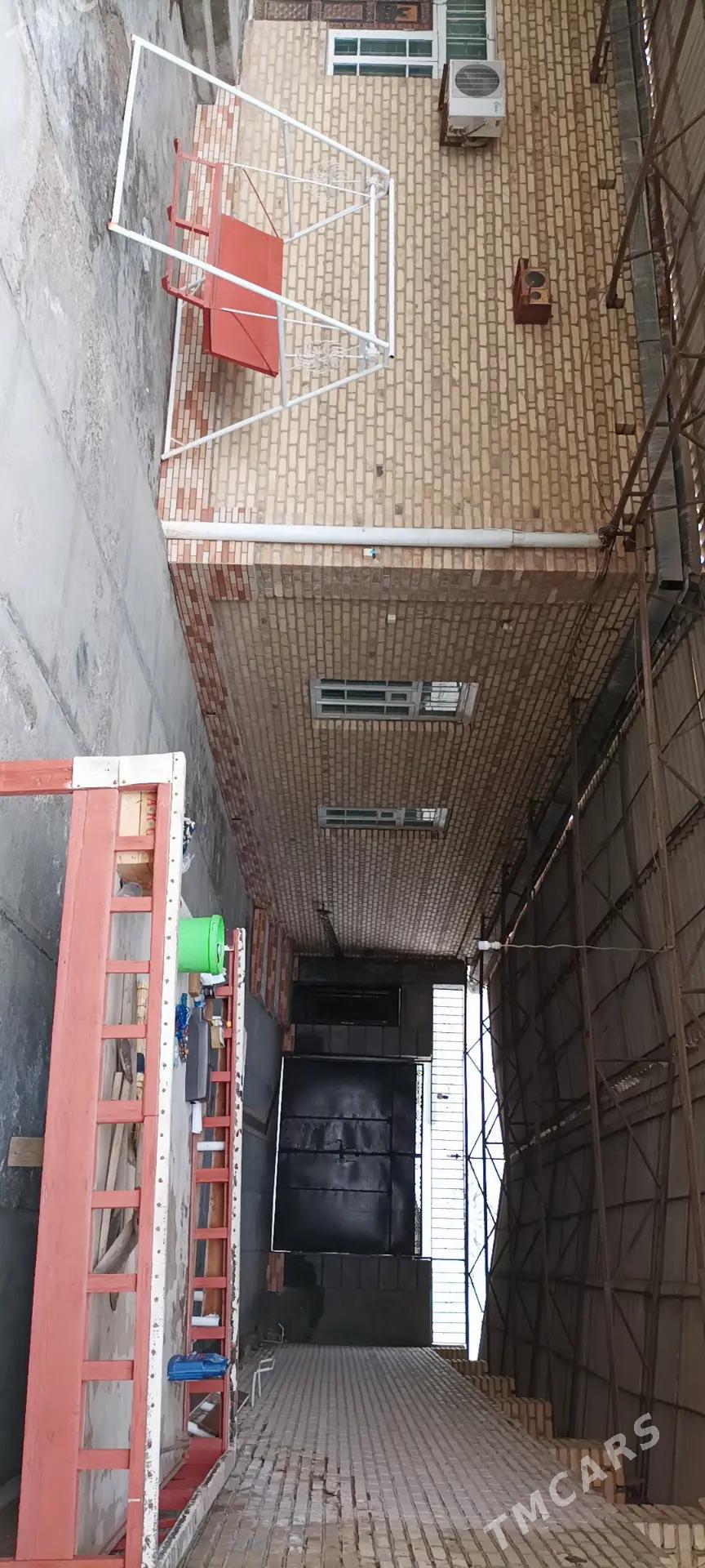 Howly yer jay - Mary - img 9