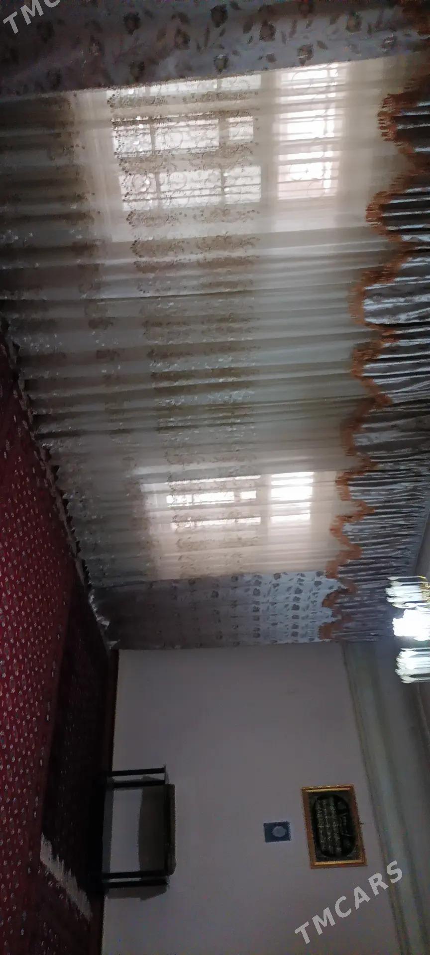 Howly yer jay - Mary - img 2