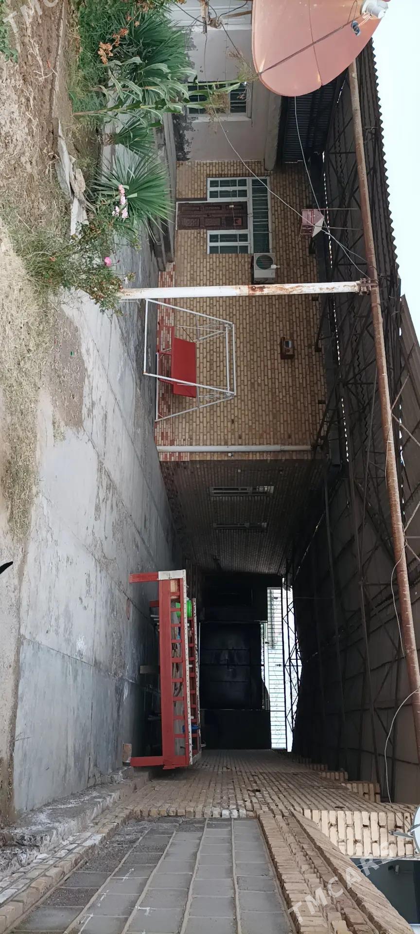 Howly yer jay - Mary - img 10