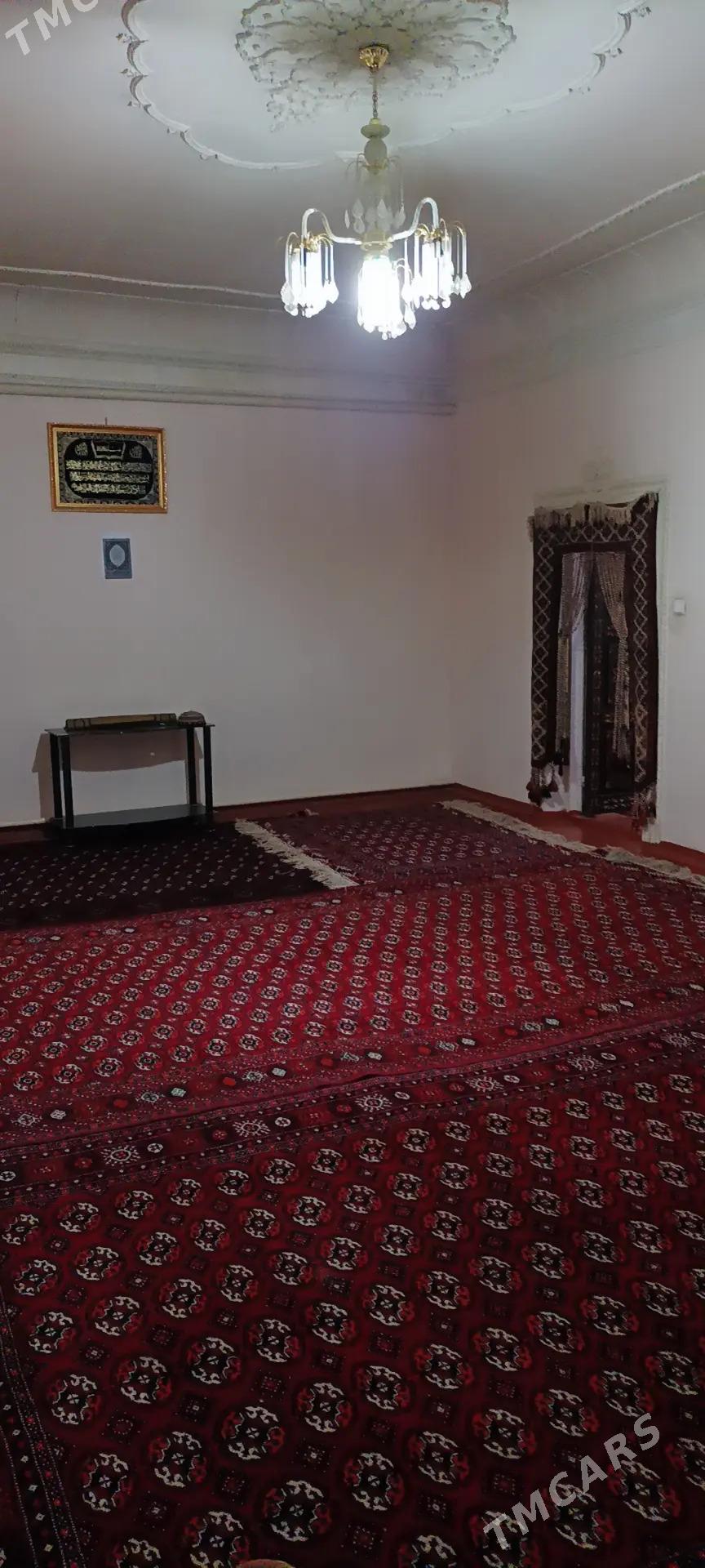 Howly yer jay - Mary - img 5