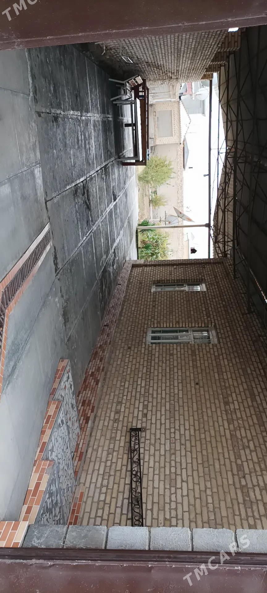 Howly yer jay - Mary - img 3