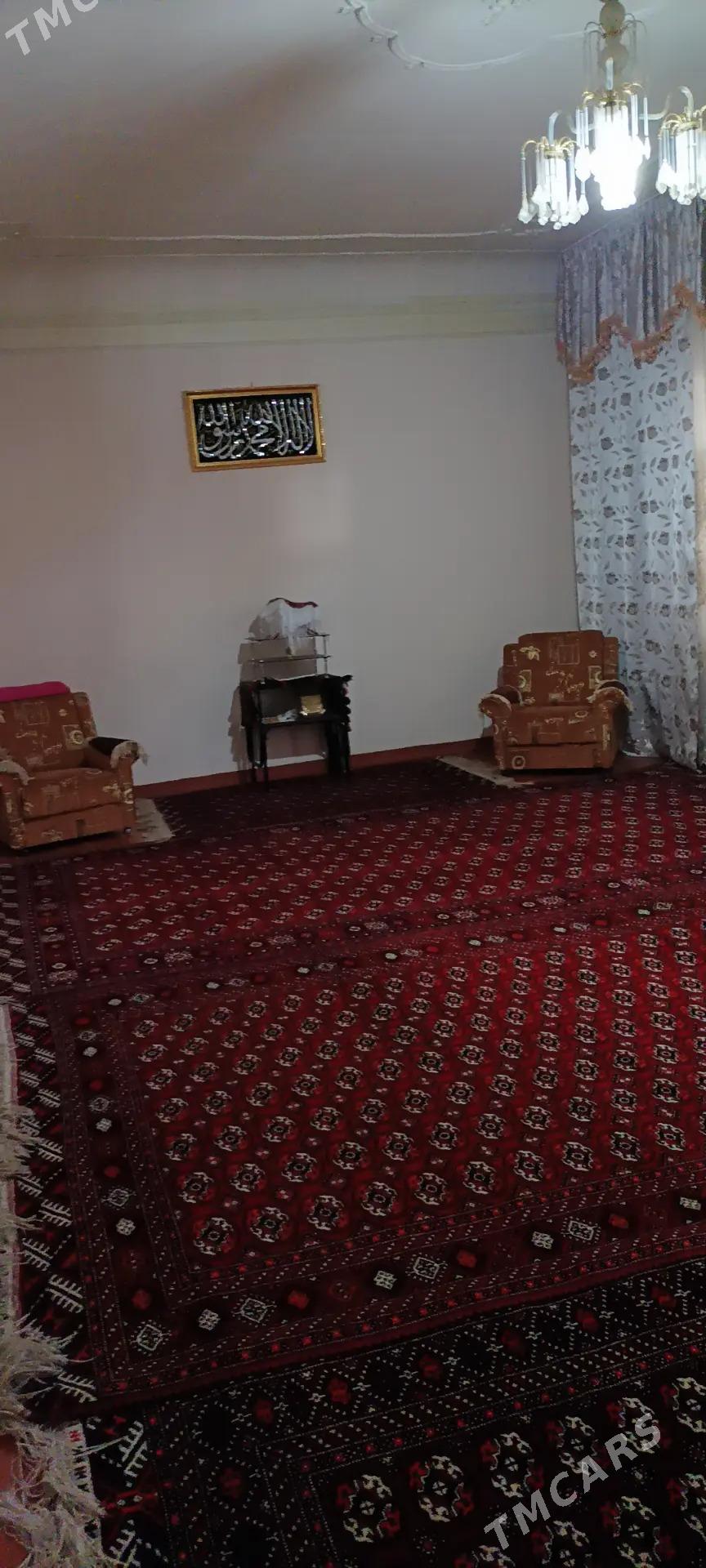 Howly yer jay - Mary - img 4