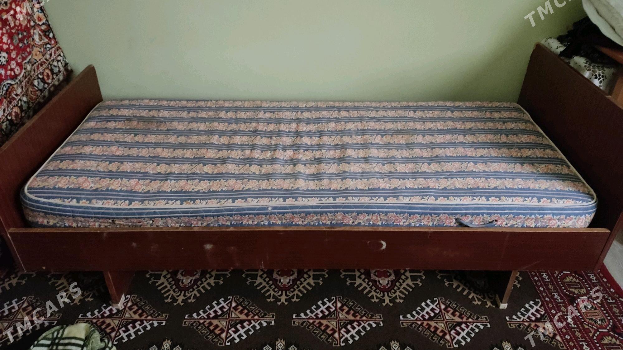 bir kişilik spalni - Daşoguz - img 2