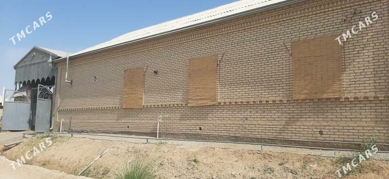 GYSSAGLY!!! Plan jay 16 sotok - Mary - img 5