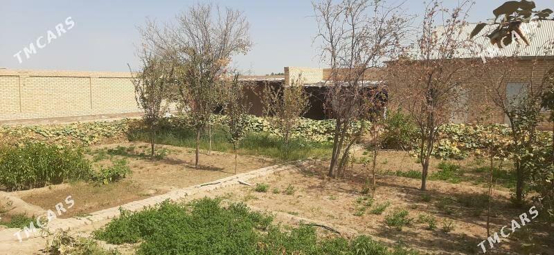 GYSSAGLY!!! Plan jay 16 sotok - Mary - img 9