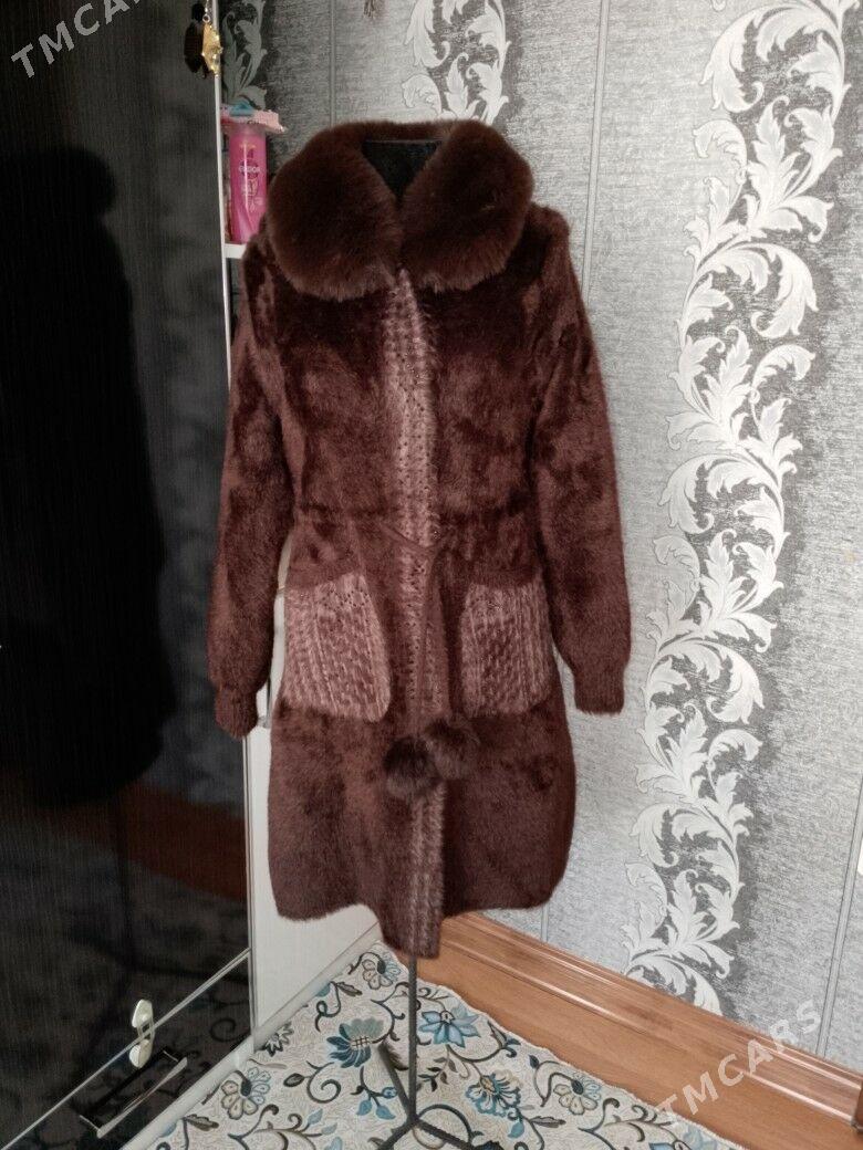 angorka şempir - Туркменбаши - img 2