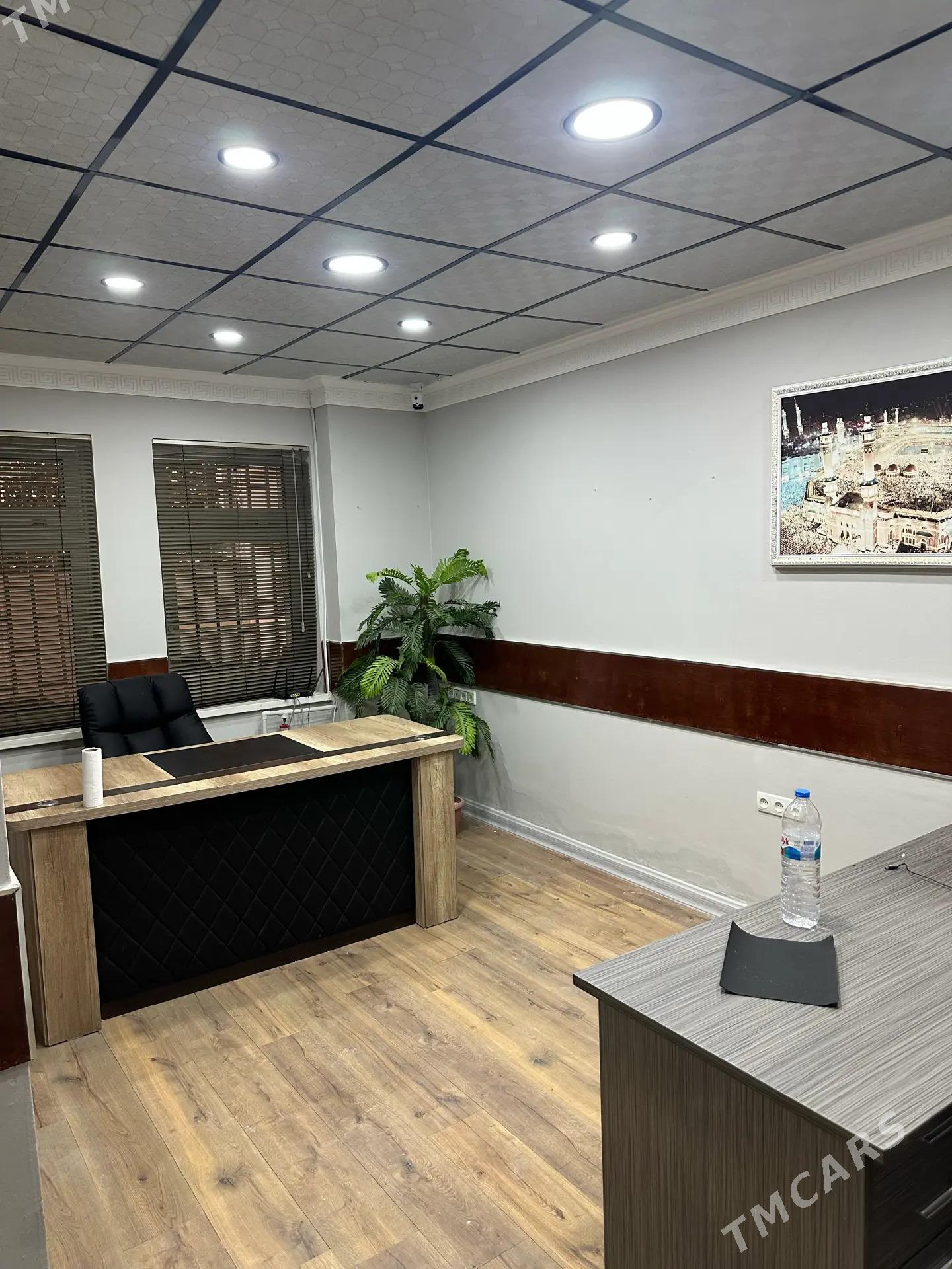 Arenda Mir6 podwal ofis Atelye - Мир 6 - img 4