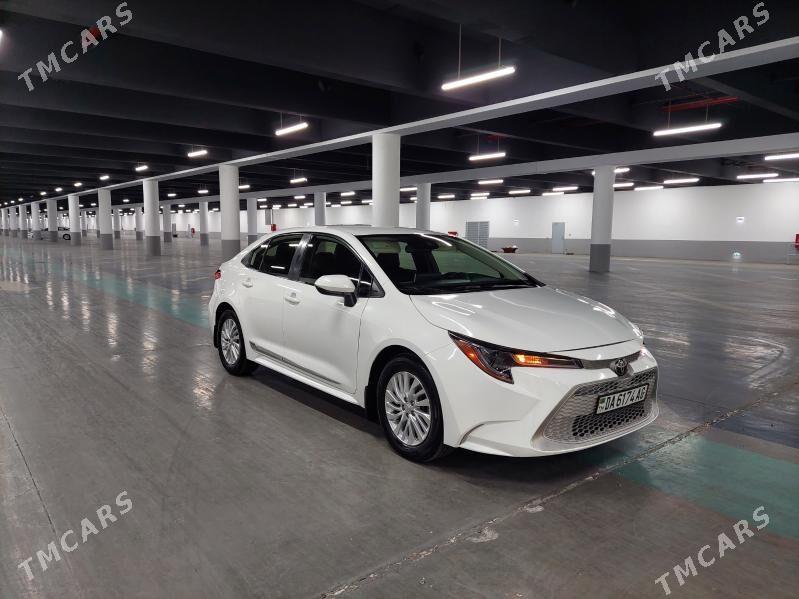 Toyota Corolla 2020 - 235 000 TMT - Ашхабад - img 3