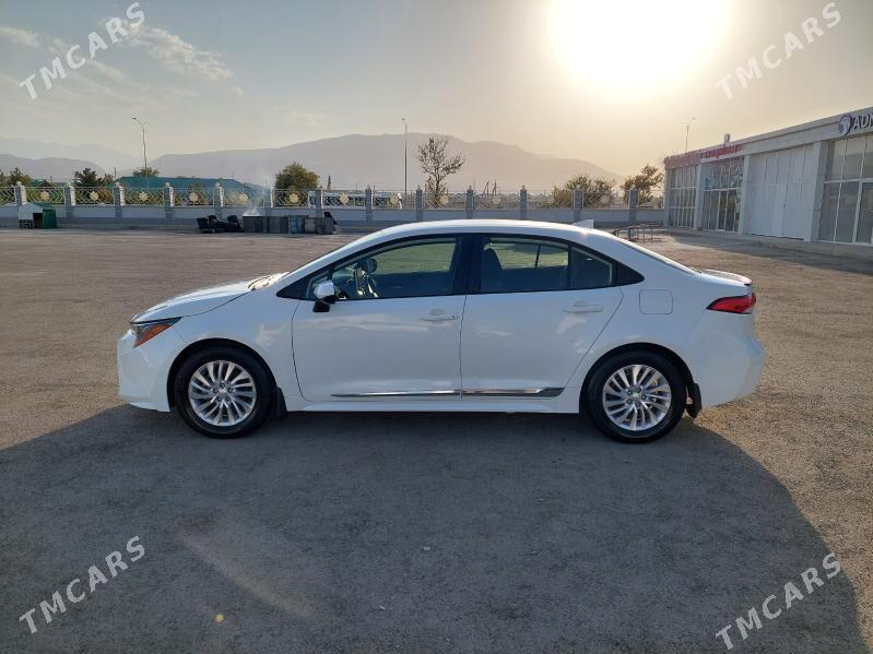Toyota Corolla 2020 - 235 000 TMT - Ашхабад - img 8