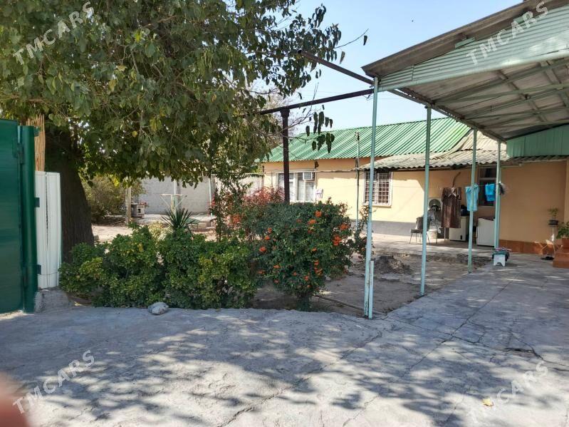 Anew jay satlyk yer - Анев - img 5