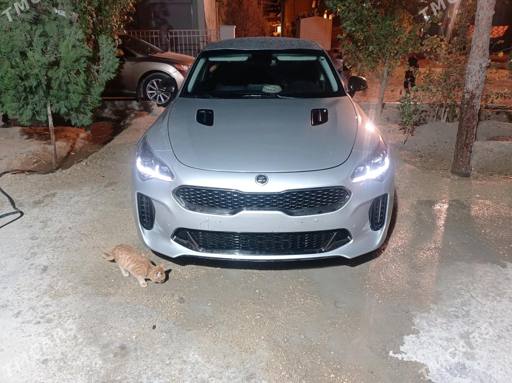 Kia Stinger 2018 - 320 000 TMT - Балканабат - img 9