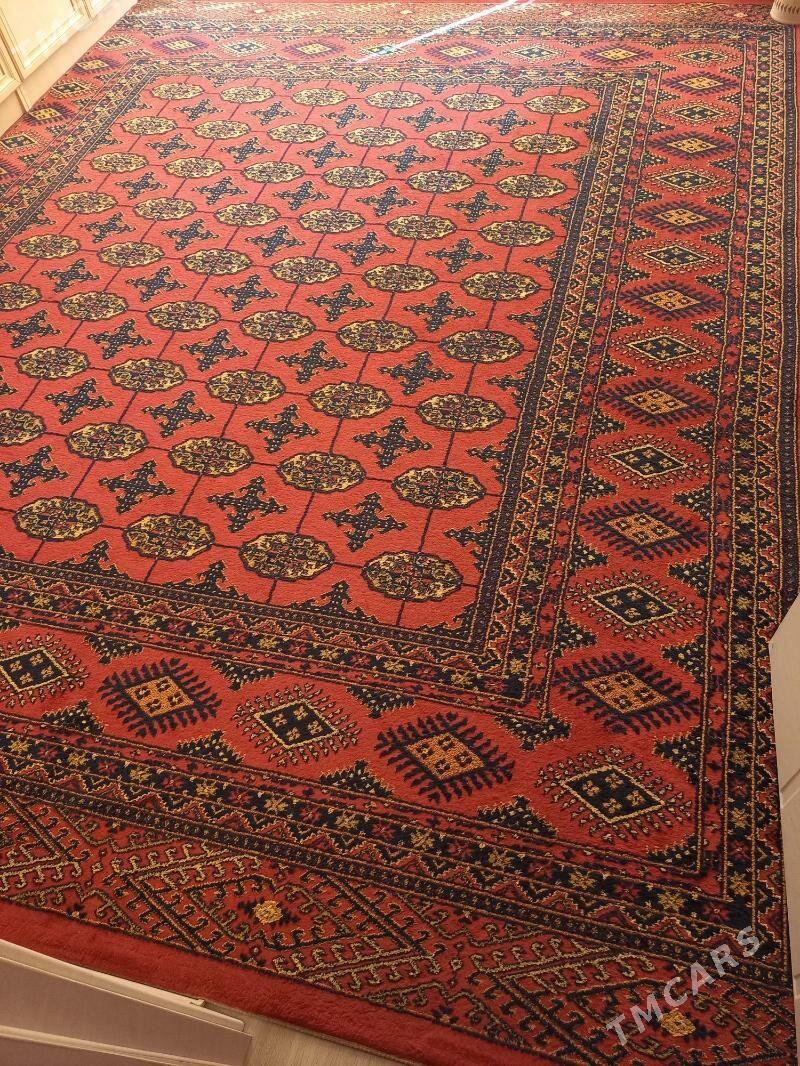 haly - Aşgabat - img 2