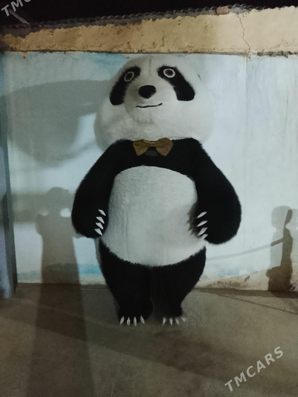 Panda Aýy we kalonka - Гызыларбат - img 2